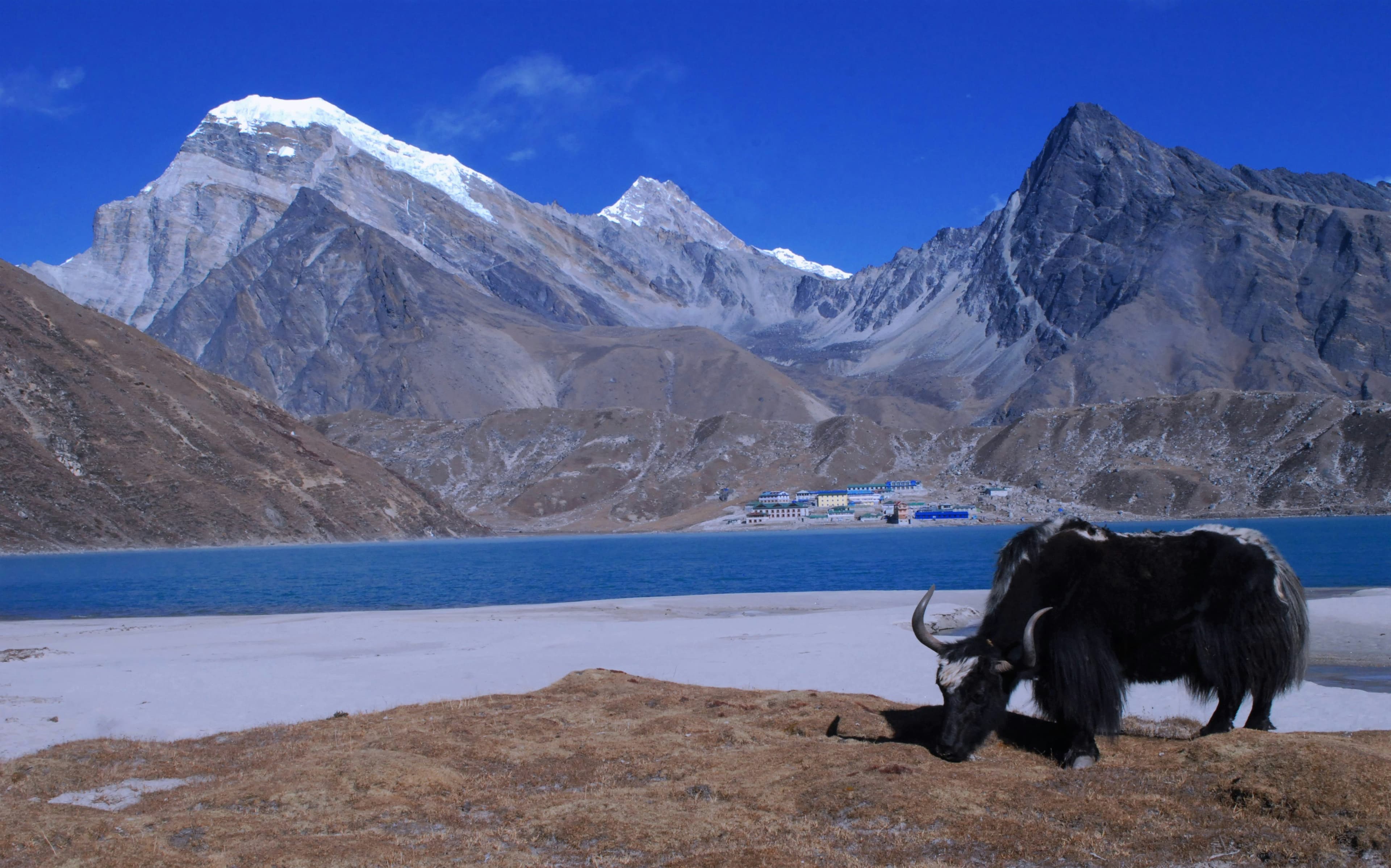 Everest 03-Passes Trek — Ktm-Lukla-Namche-Renjo-la-Cho-la-and-Kongma-la-Ktm.